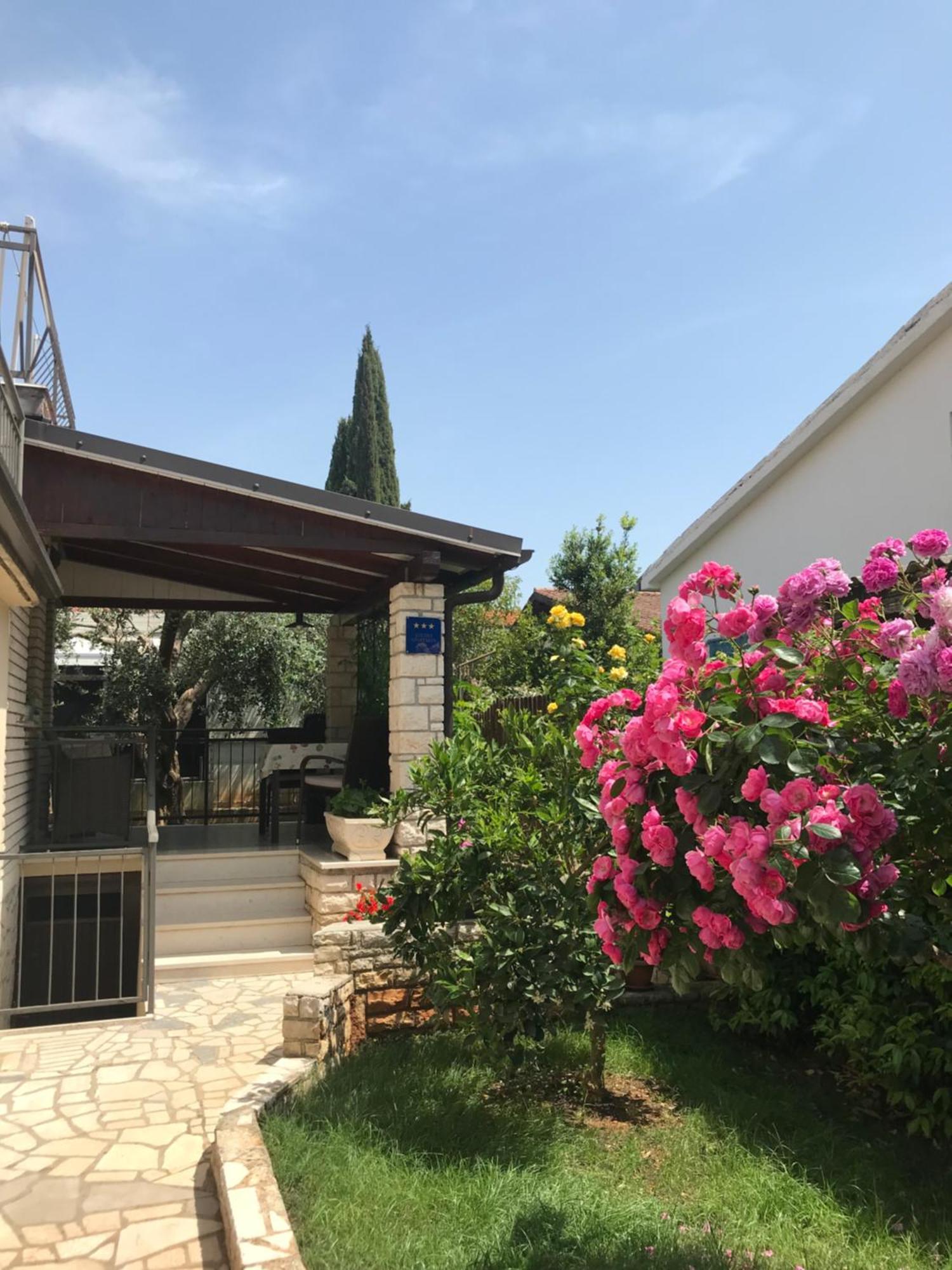 Appartement App Sorgo à Novigrad Istria Extérieur photo